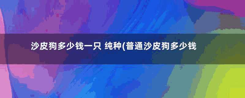 沙皮狗多少钱一只 纯种(普通沙皮狗多少钱一只小狗)