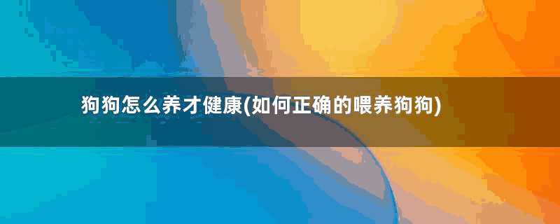 狗狗怎么养才健康(如何正确的喂养狗狗)