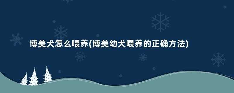 博美犬怎么喂养(博美幼犬喂养的正确方法)