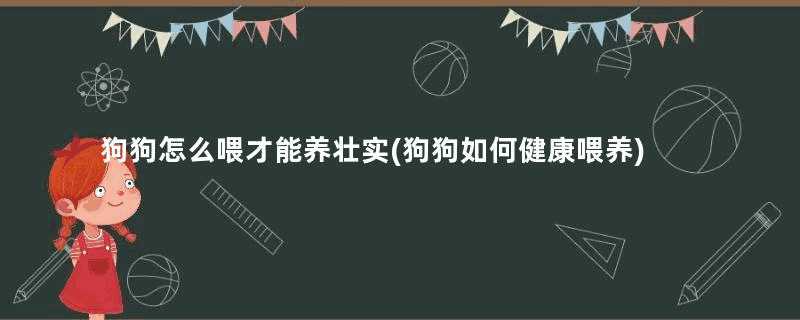 狗狗怎么喂才能养壮实(狗狗如何健康喂养)