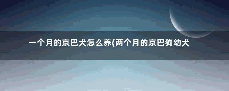 一个月的京巴犬怎么养(两个月的京巴狗幼犬怎么喂养)