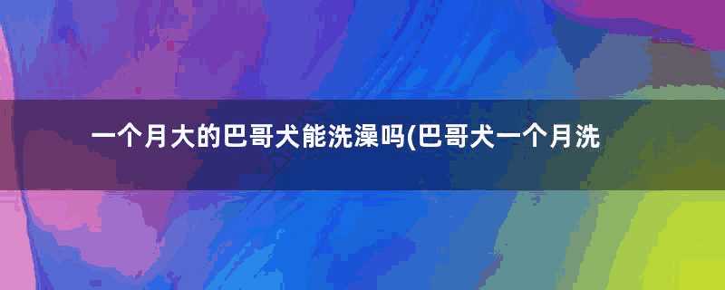 一个月大的巴哥犬能洗澡吗(巴哥犬一个月洗几次澡)