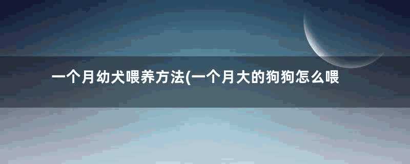 一个月幼犬喂养方法(一个月大的狗狗怎么喂养)