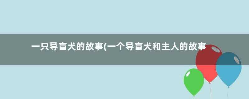 一只导盲犬的故事(一个导盲犬和主人的故事)