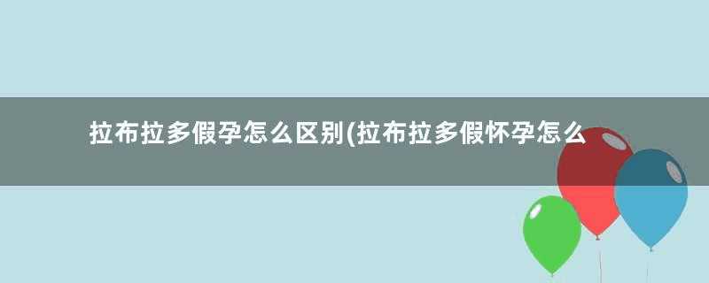 拉布拉多假孕怎么区别(拉布拉多假怀孕怎么办)