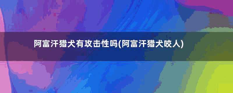 阿富汗猎犬有攻击性吗(阿富汗猎犬咬人)