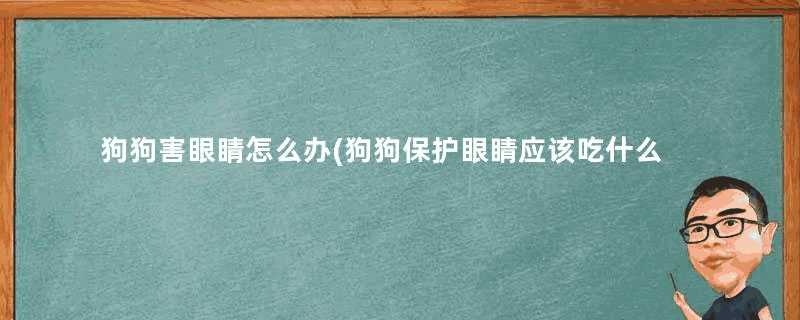 狗狗害眼睛怎么办(狗狗保护眼睛应该吃什么)