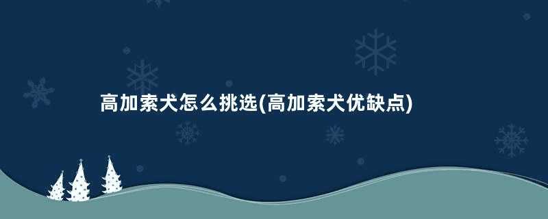 高加索犬怎么挑选(高加索犬优缺点)