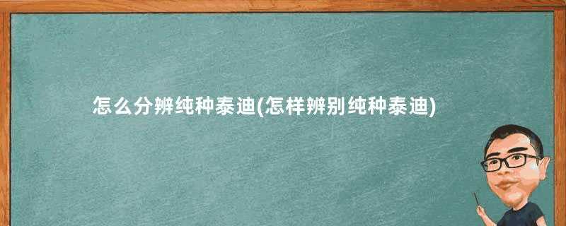 怎么分辨纯种泰迪(怎样辨别纯种泰迪)