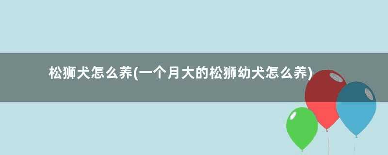 松狮犬怎么养(一个月大的松狮幼犬怎么养)