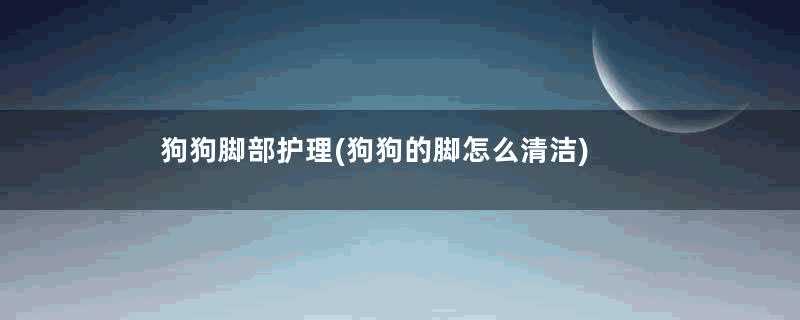 狗狗脚部护理(狗狗的脚怎么清洁)