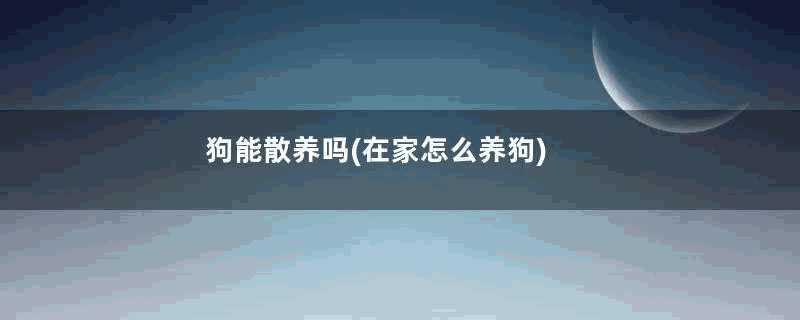 狗能散养吗(在家怎么养狗)