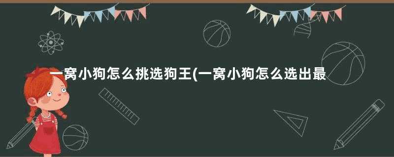 一窝小狗怎么挑选狗王(一窝小狗怎么选出最好的)