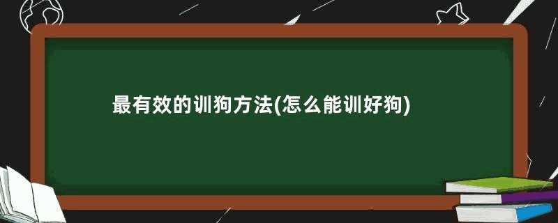 最有效的训狗方法(怎么能训好狗)