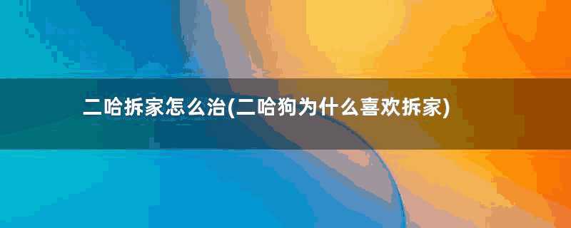 二哈拆家怎么治(二哈狗为什么喜欢拆家)