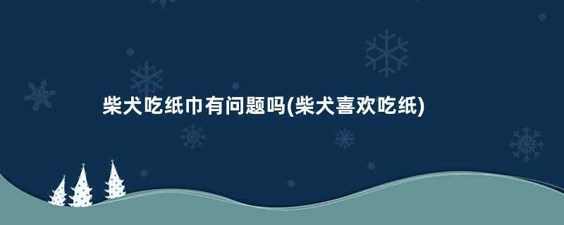 柴犬吃纸巾有问题吗(柴犬喜欢吃纸)