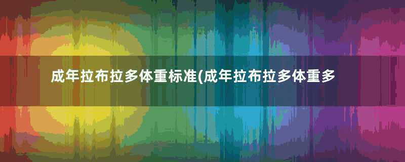 成年拉布拉多体重标准(成年拉布拉多体重多少正常)