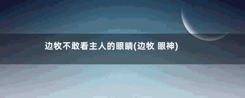 边牧不敢看主人的眼睛(边牧 眼神)