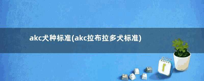 akc犬种标准(akc拉布拉多犬标准)