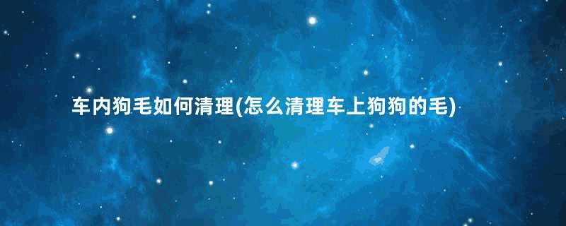 车内狗毛如何清理(怎么清理车上狗狗的毛)