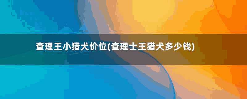 查理王小猎犬价位(查理士王猎犬多少钱)