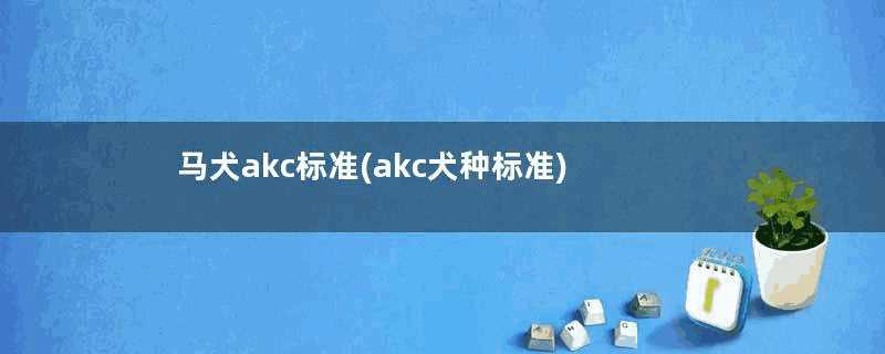 马犬akc标准(akc犬种标准)