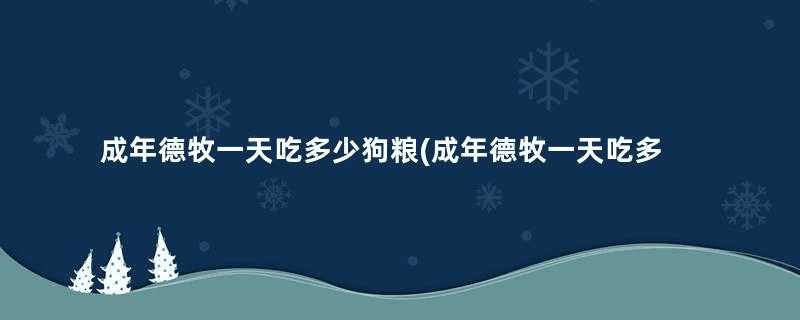 成年德牧一天吃多少狗粮(成年德牧一天吃多少肉)