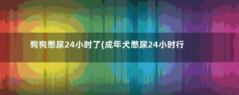 狗狗憋尿24小时了(成年犬憋尿24小时行吗)