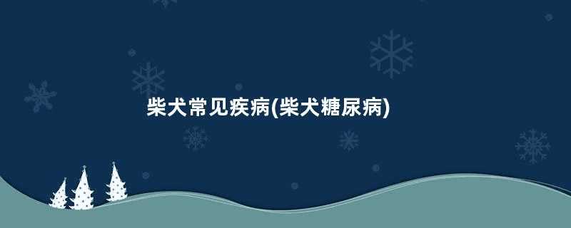 柴犬常见疾病(柴犬糖尿病)