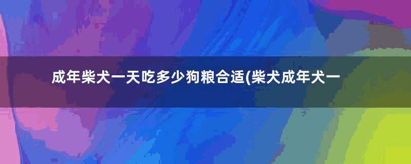 成年柴犬一天吃多少狗粮合适(柴犬成年犬一天吃多少狗粮)