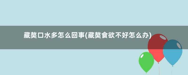 藏獒口水多怎么回事(藏獒食欲不好怎么办)