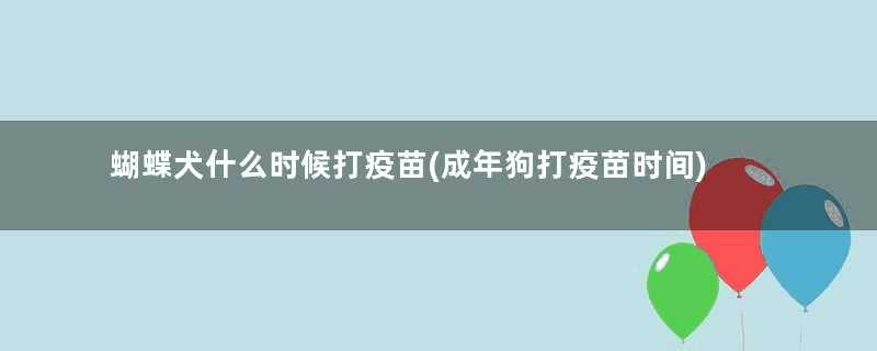 蝴蝶犬什么时候打疫苗(成年狗打疫苗时间)