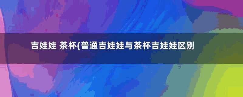 吉娃娃 茶杯(普通吉娃娃与茶杯吉娃娃区别)