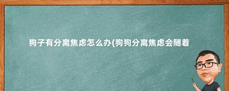 狗子有分离焦虑怎么办(狗狗分离焦虑会随着时间自愈吗)