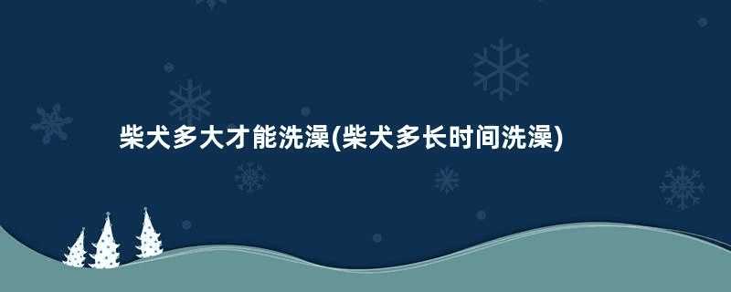 柴犬多大才能洗澡(柴犬多长时间洗澡)