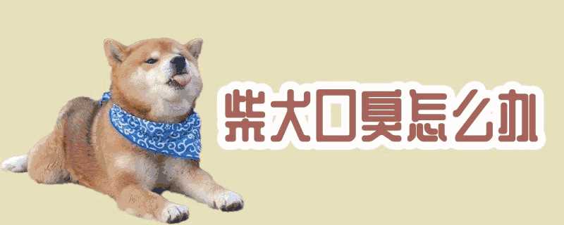 柴犬有口臭的原因和治疗方法(柴犬嘴臭怎么办)