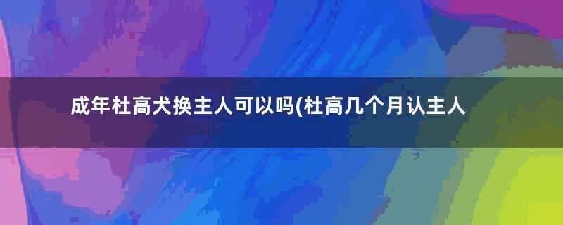 成年杜高犬换主人可以吗(杜高几个月认主人)