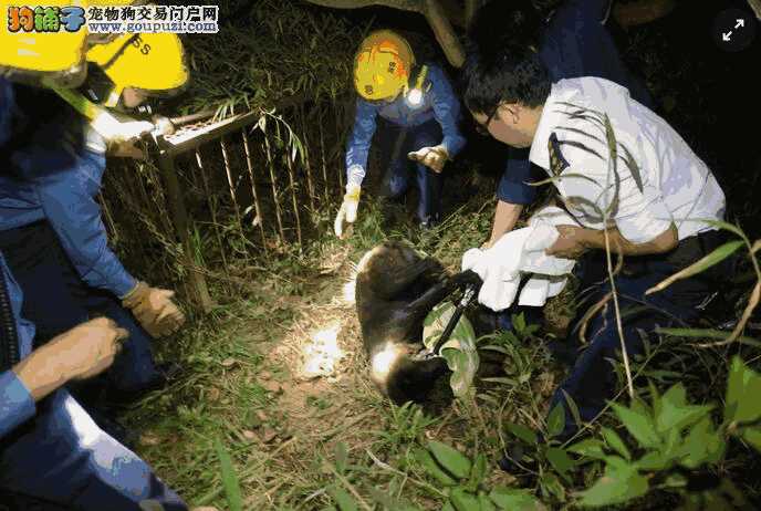 捕兽器又困小狗 农场场主救援不遂消防出手