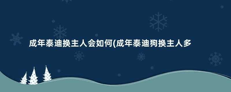 成年泰迪换主人会如何(成年泰迪狗换主人多久可以适应)