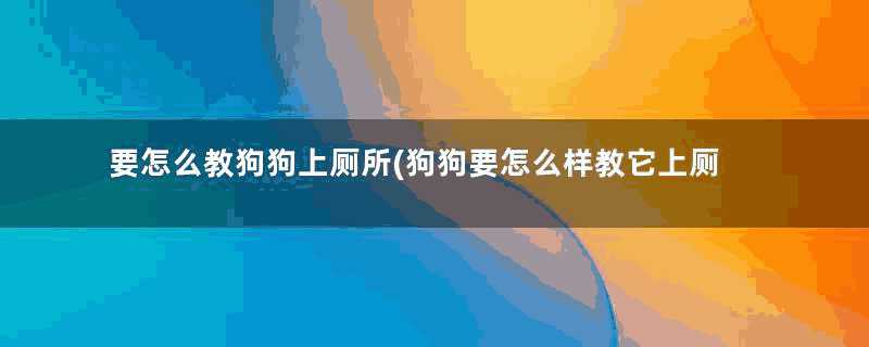 要怎么教狗狗上厕所(狗狗要怎么样教它上厕所)