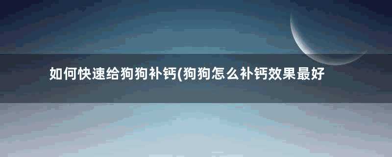 如何快速给狗狗补钙(狗狗怎么补钙效果最好的方法)