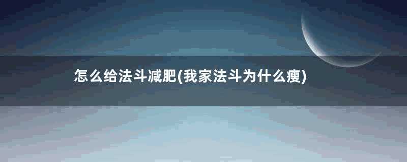 怎么给法斗减肥(我家法斗为什么瘦)