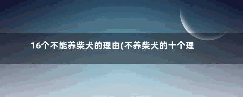 16个不能养柴犬的理由(不养柴犬的十个理由)