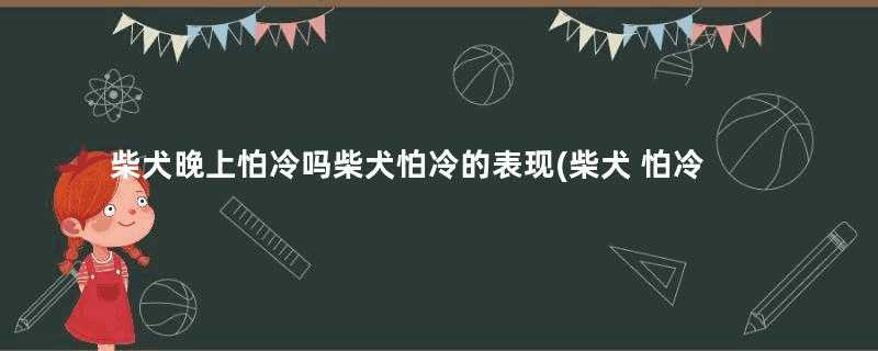 柴犬晚上怕冷吗柴犬怕冷的表现(柴犬 怕冷吗)