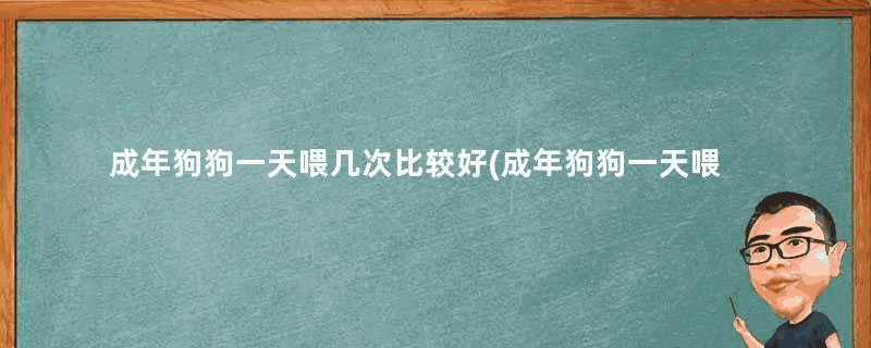 成年狗狗一天喂几次比较好(成年狗狗一天喂几次,什么时候喂好)