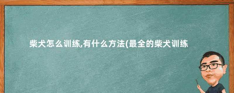 柴犬怎么训练,有什么方法(最全的柴犬训练教程)