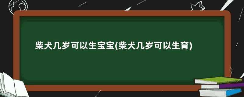 柴犬几岁可以生宝宝(柴犬几岁可以生育)