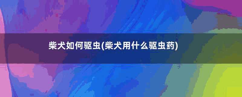 柴犬如何驱虫(柴犬用什么驱虫药)