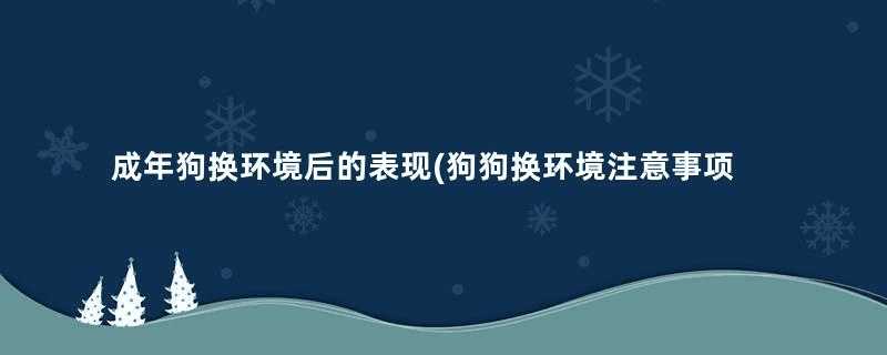 成年狗换环境后的表现(狗狗换环境注意事项)