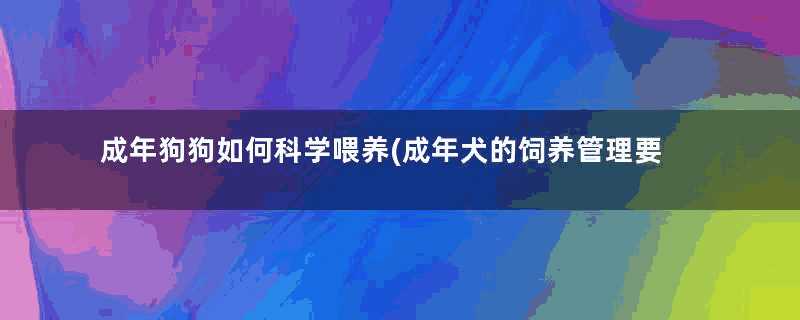 成年狗狗如何科学喂养(成年犬的饲养管理要点)